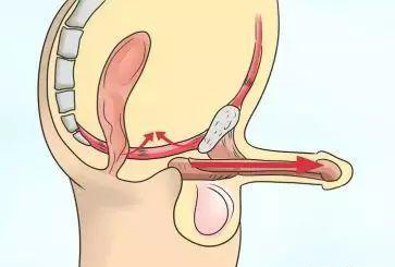 改善早泄常用的三大鍛煉方法,這樣做粗壯持久