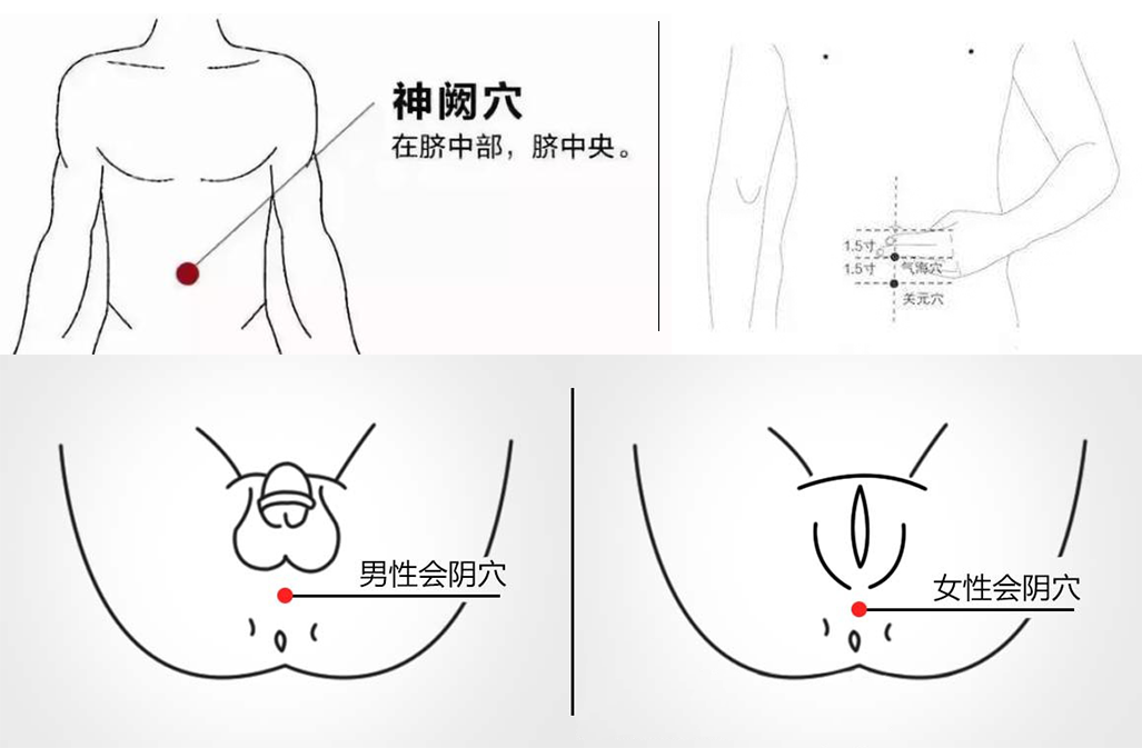 挺博士振陽貼